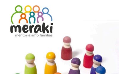 Iniciem el projecte MERAKI